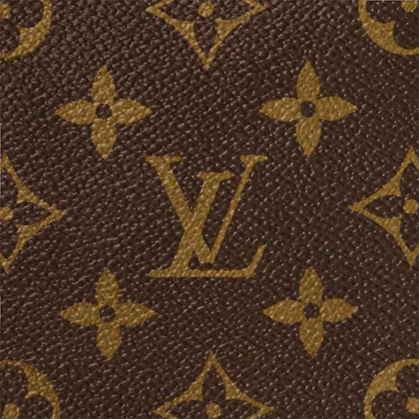 Túi Louis Vuitton Porte-Documents Voyage PM Business 'Macassar' M52005 - Ảnh 5