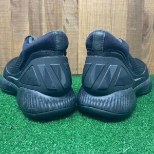 Giay Adidas D Rose 10 'Core Black' FV5574