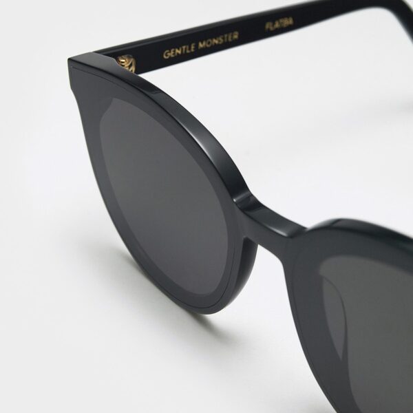 Kính Gentle Monster BlackPeter 01 sunglasses - Ảnh 4