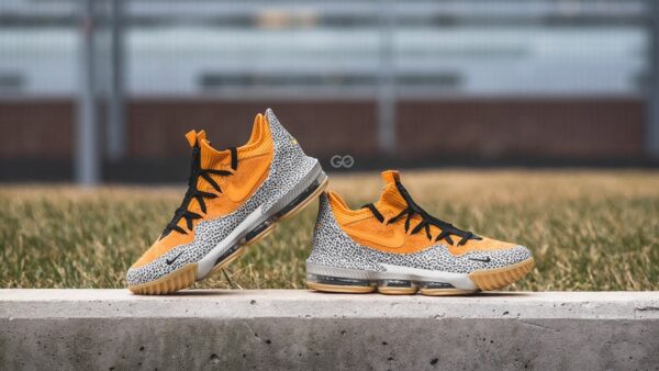 Giày Nike LeBron 16 Low Atmos Safari CD9471-800 - Ảnh 4