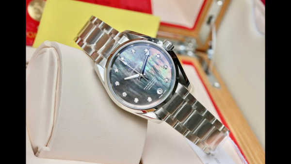 Đồng Hồ Omega Seamaster Terra Automatic 'Silver' 231-10-39-21-57-001 - Ảnh 5