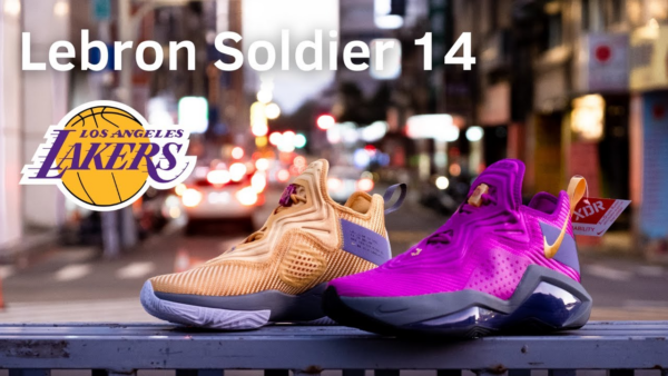 Giày Nike LeBron Soldier 14 'Lakers' CK6047-500 - Ảnh 9