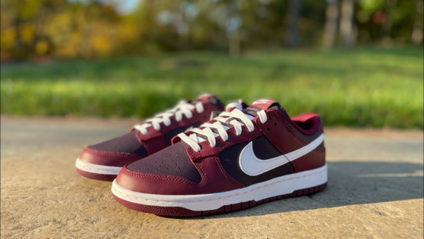 Giày Nike Dunk Low 'Dark Beetroot' DJ6188-600 - Ảnh 7