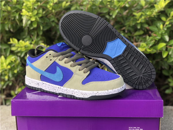 Giày Nike Dunk Low SB 'ACG Celadon' BQ6817-301 - Ảnh 6