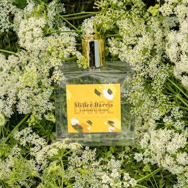 Nước Hoa Miller Harris Dance Amongst The Lace EDP - Ảnh 2