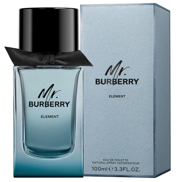 Nước hoa Burberry Mr Element EDT - Ảnh 2