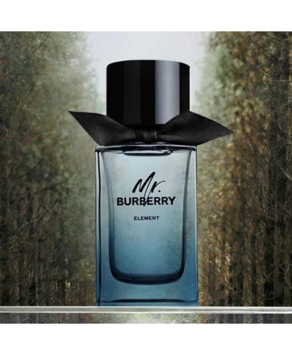 Nước hoa Burberry Mr Element EDT - Ảnh 5