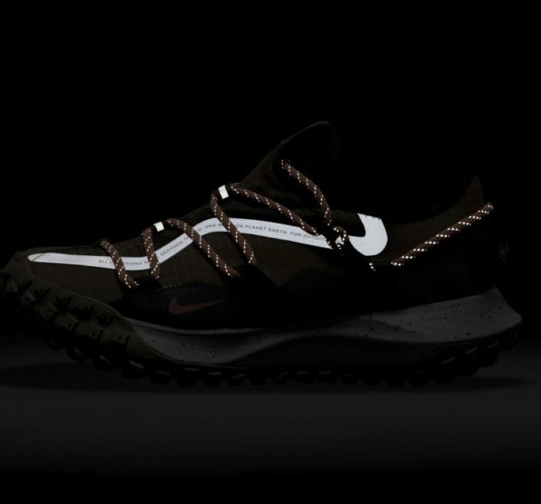 Giày Nike ACG Mountain Fly Low Gore-Tex SE Hazel Rush DD2861-200 - Ảnh 5