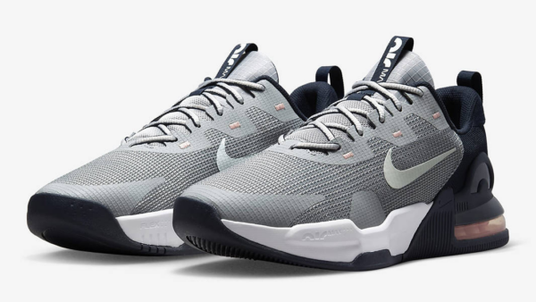 Giày Nike Air Max Alpha Trainer 5 'Light Smoke Grey' DM0829-004 - Ảnh 2