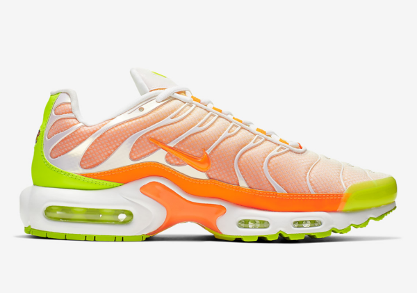 Giày Nike Air Max Plus 'Color Flip' CI5924-531 - Ảnh 3