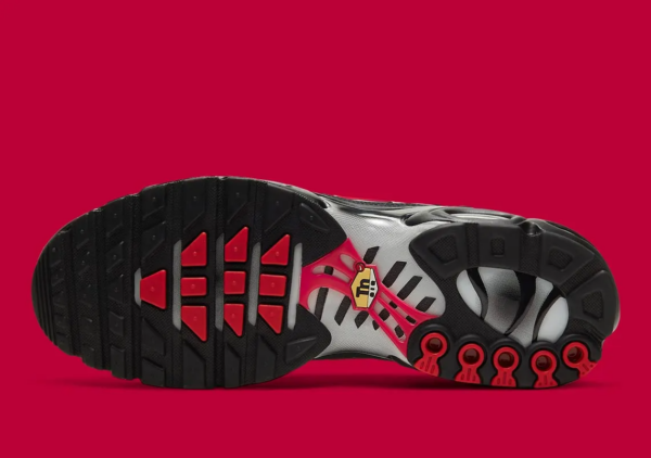 Giày Nike Air Max Plus Topography Pack 'Black' DJ0638-001 - Ảnh 6
