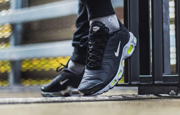 Giày Nike Air Max Plus Premium 'Matte Silver' 815994-003 - Ảnh 4