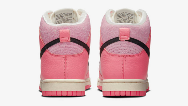 Giày Nike Dunk High Hoops 'Pack Pink' DX3359-600 - Ảnh 4