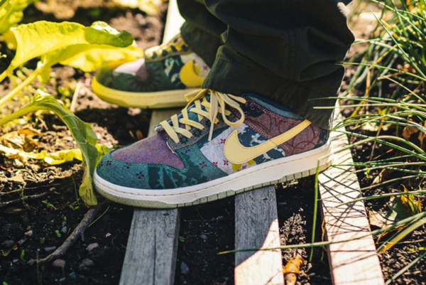 Giày Nike Dunk Low 'Community Garden' CZ9747-900 - Ảnh 7