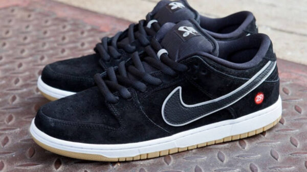 Giày Nike SB Dunk Low Premium 'SB Quartersnacks' 313170-019 - Ảnh 9