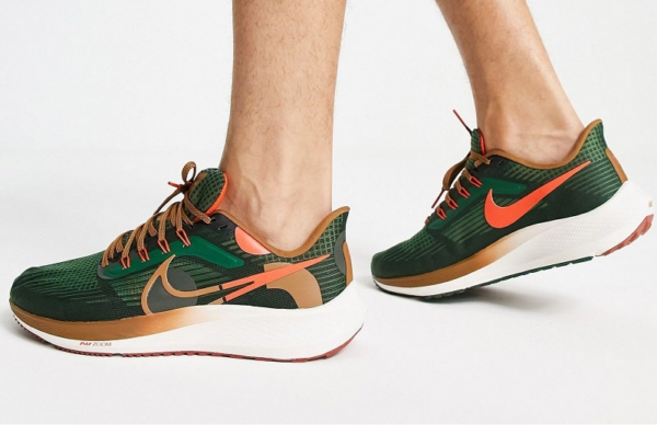Giay Nike Air Zoom Pegasus 39 'A.I.R. Hola Lou' DO9500-300