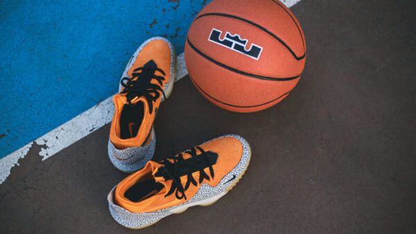 Giày Nike LeBron 16 Low Atmos Safari CD9471-800 - Ảnh 6
