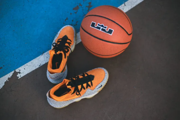 Giày Nike Atmos x LeBron 16 Low AC EP 'Safari' CI3358-800 - Ảnh 8