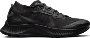 Giay Nike Pegasus Trail 3 Gore-Tex 'Triple Black' DC8794-001