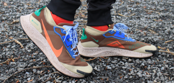 Giày Nike Pegasus Trail 3 Gore-Tex I Love Trail DR0137-200 - Ảnh 2
