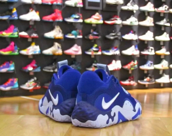 Giày Nike PG 6 EP 'Blue Paisley' DH8447-400 - Ảnh 4