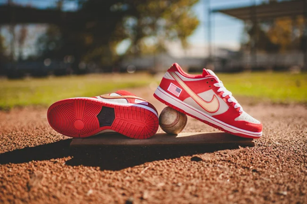 Giày Nike SB Dunk Low 'Nasty Boys' 304292-610 - Ảnh 6