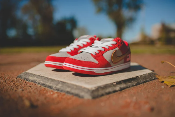 Giày Nike SB Dunk Low 'Nasty Boys' 304292-610 - Ảnh 5