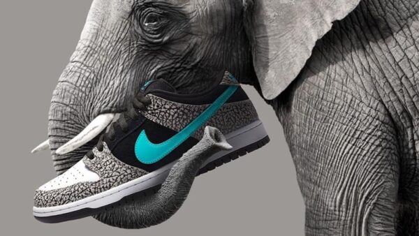 Giày Nike SB Dunk Low 'Atmos Elephant' BQ6817-009 - Ảnh 7