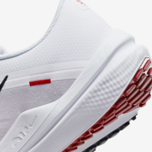 Giay Nike Winflo 10 'White' DV4022-100
