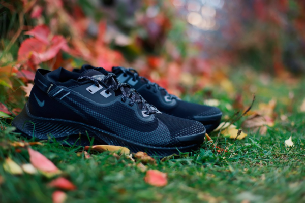 Giày Nike Pegasus Trail 2 GTX 'Black Metallic Dark Grey' CU2016-001 - Ảnh 5