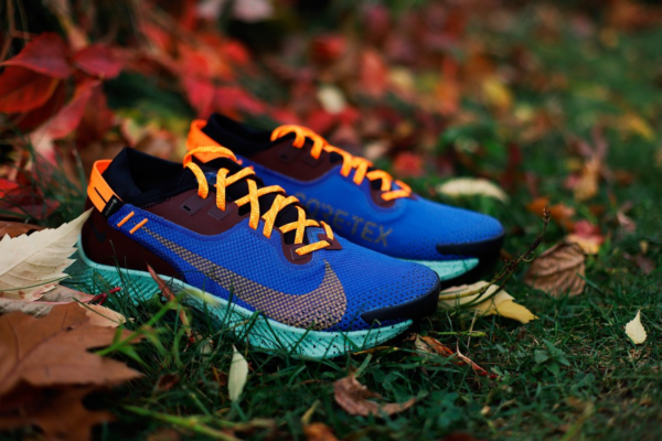 Giày Nike Pegasus Trail 2 GTX 'Mystic Dates Blue' CU2016-600 - Ảnh 6