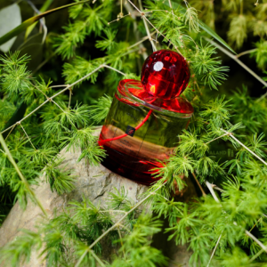 Alternative view of Nước Hoa Jo Malone Red Hibiscus EDC