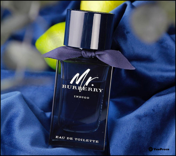 Nước hoa Burberry Mr Indigo - Ảnh 3