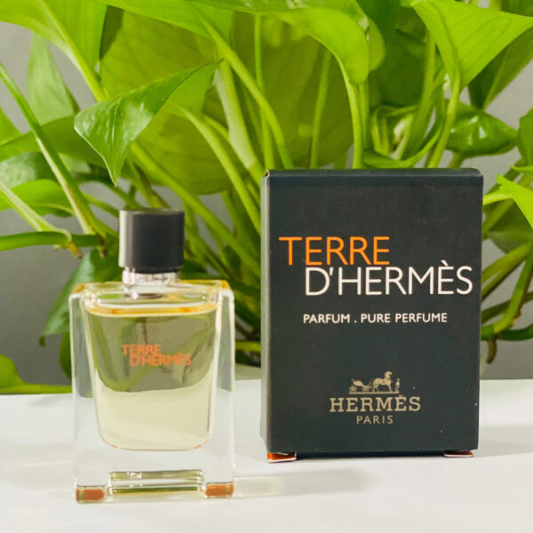 Nước Hoa Hermes Terre D’Hermès EDT - Ảnh 3