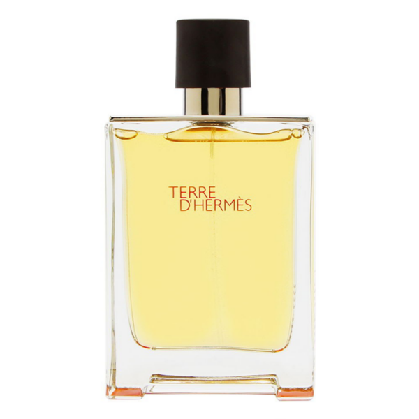 Nước Hoa Hermes Terre D’Hermès EDT - Ảnh 2