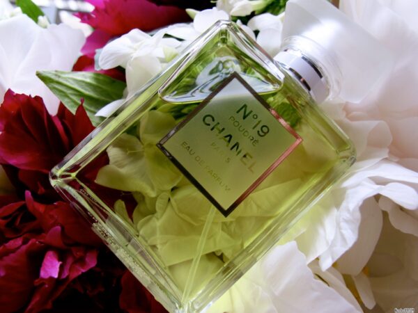 Nước Hoa Chanel No 19 Pour Femme 100ml - Ảnh 2