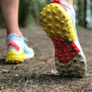 Giay Nike Running Wildhorse 6 'Mutil Color' BV7106-400