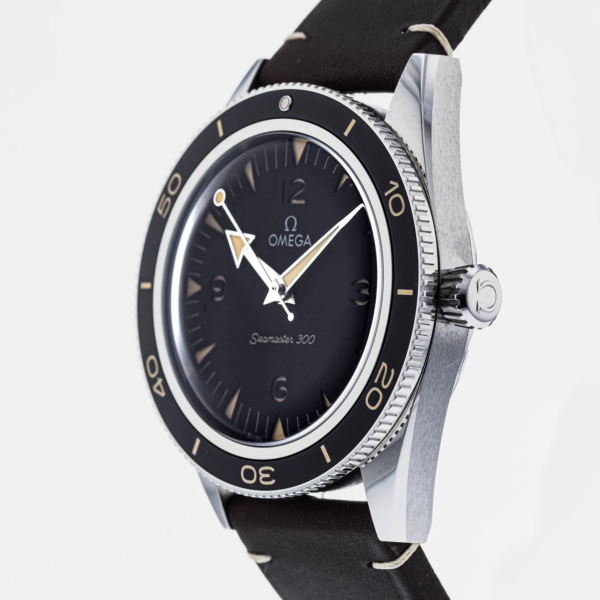 Đồng Hồ Omega Seamaster 'Black' 234-32-41-21-01-001 - Ảnh 3