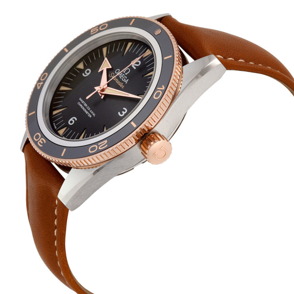 Đồng Hồ Omega Seamaster 300 'Black' 233-22-41-21-01-002 - Ảnh 2