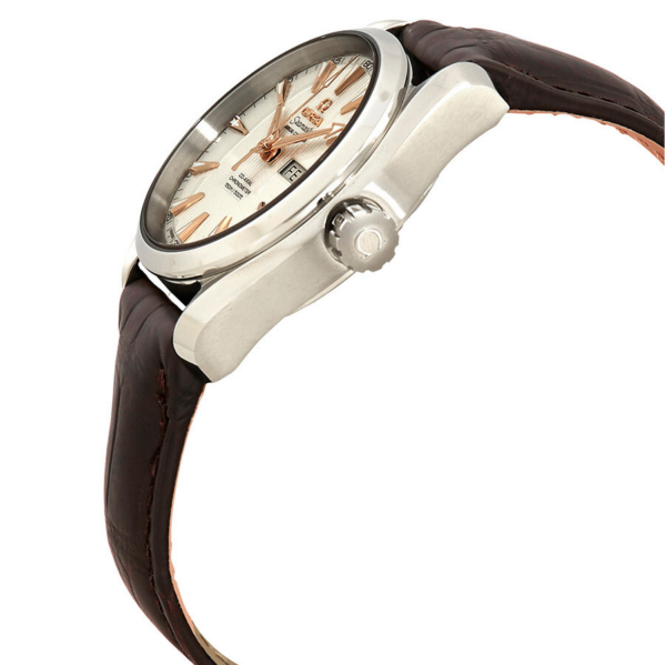 Đồng Hồ Omega Seamaster Aqua Terra 'Silver' 231-13-39-22-02-001 - Ảnh 2