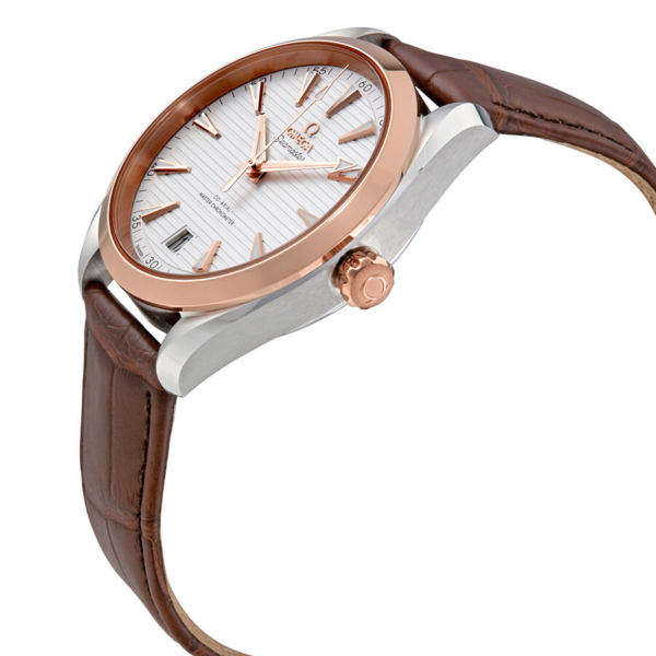 Đồng Hồ Omega Seamaster Aqua Terra 'Silver' 220-23-41-21-02-001 - Ảnh 2