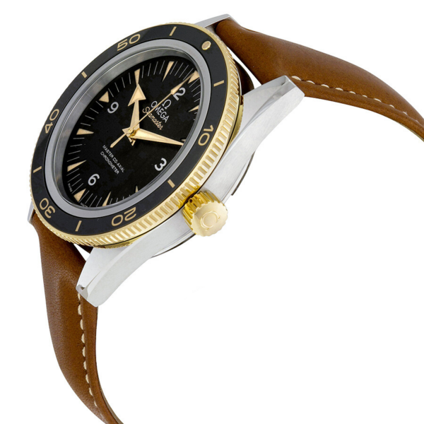 Đồng Hồ Omega Seamaster Automatic 'Black' 233-22-41-21-01-001 - Ảnh 2