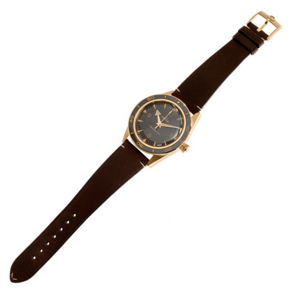 Đồng Hồ Omega Seamaster Chronometer 'Brown' 234-92-41-21-10-001 - Ảnh 2