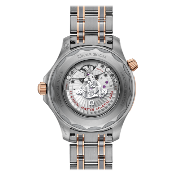 Đồng Hồ Omega Seamaster Automatic 'Grey' 210-60-42-20-99-001 - Ảnh 3