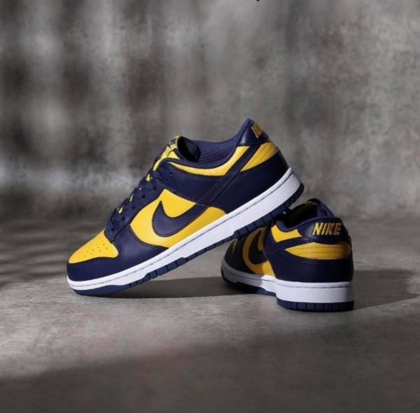 Giày Nike Dunk Low 'Michigan' 2021 DD1391-700 - Ảnh 5