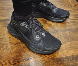 Giay Nike Pegasus Trail 3 Gore-Tex 'Triple Black' DC8794-001