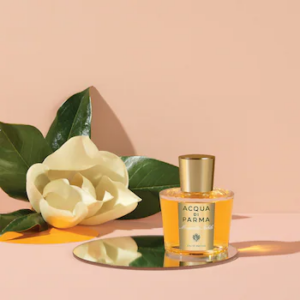 Alternative view of Nước Hoa Acqua Di Parma Magnolia Nobile EDP