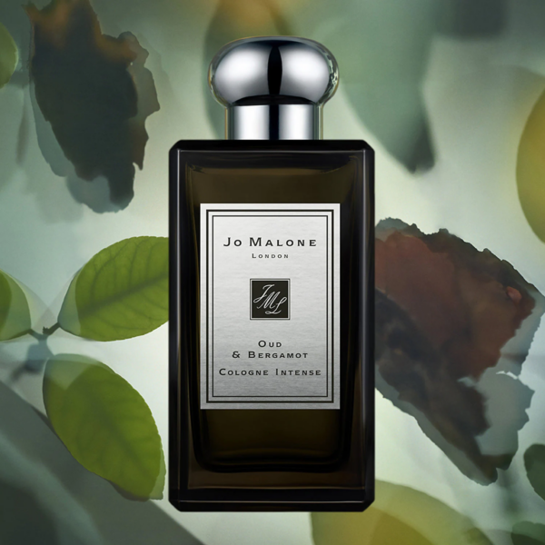 Nước Hoa Jo Malone Oud And Bergamot Cologne Intense EDC - Ảnh 3