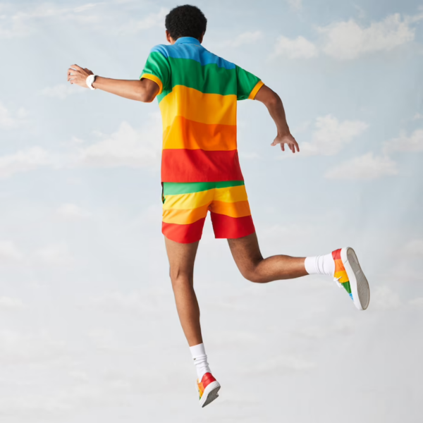Áo Lacoste Men's Polaroid Multi Color Block Polo PH2082-51G-LLX - Ảnh 6