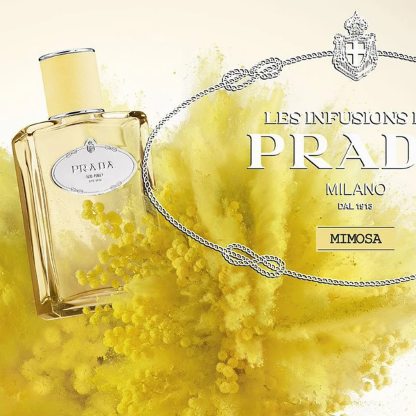 Nước Hoa Prada Les Infusions De Mimosa EDP - Ảnh 3